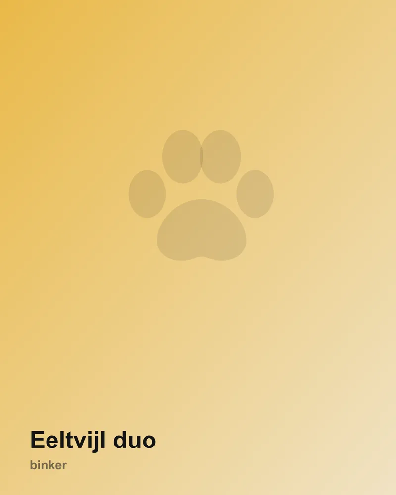 Eeltvijl duo