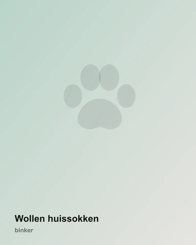 Wollen huissokken