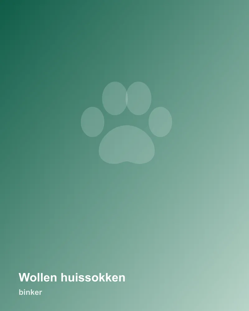 Wollen huissokken