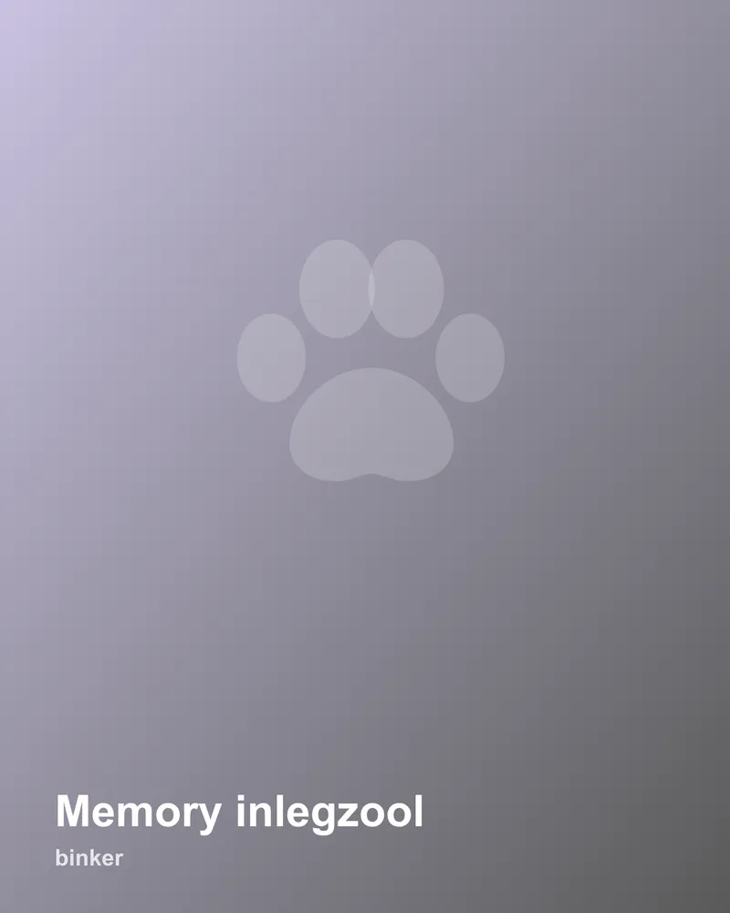 Memory inlegzool