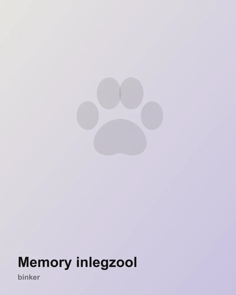 Memory inlegzool