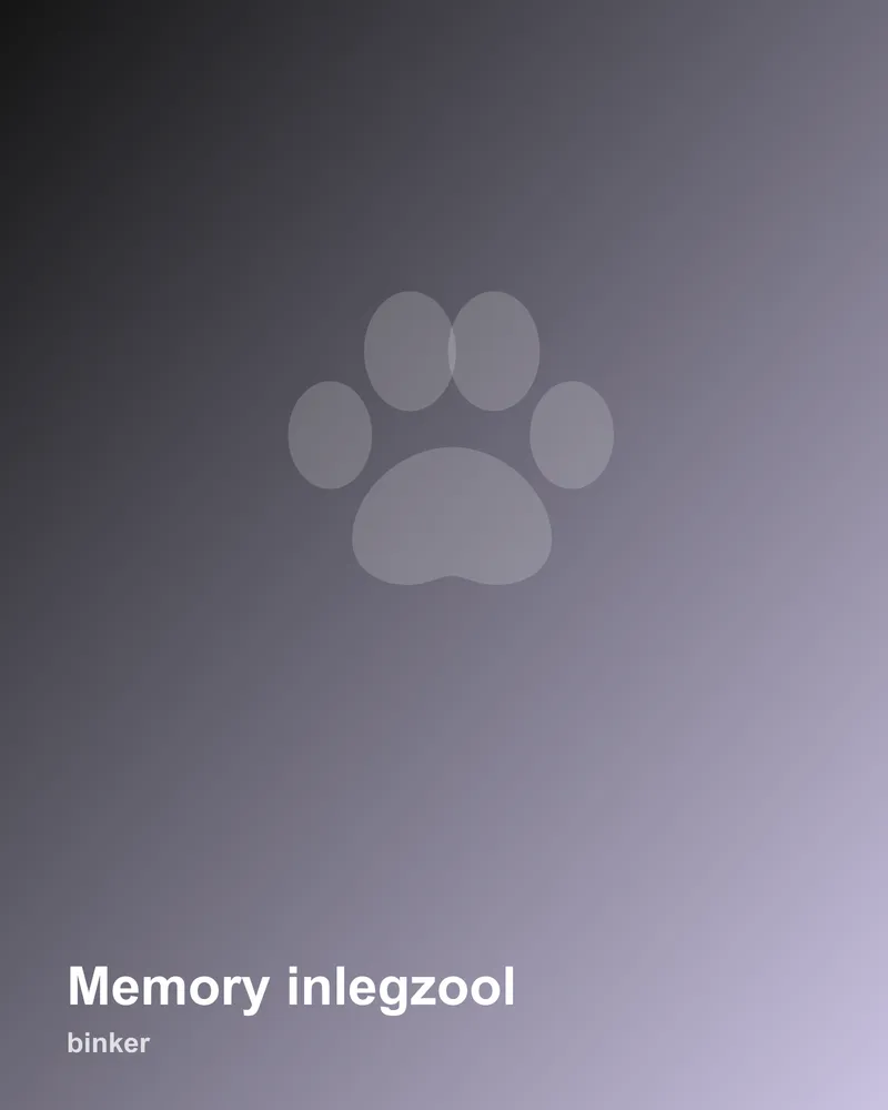 Memory inlegzool