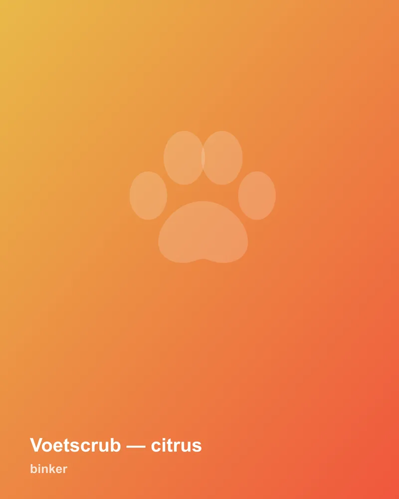 Voetscrub — citrus