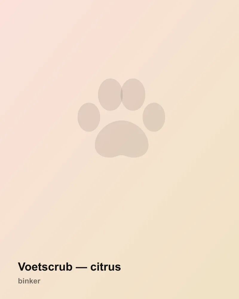 Voetscrub — citrus