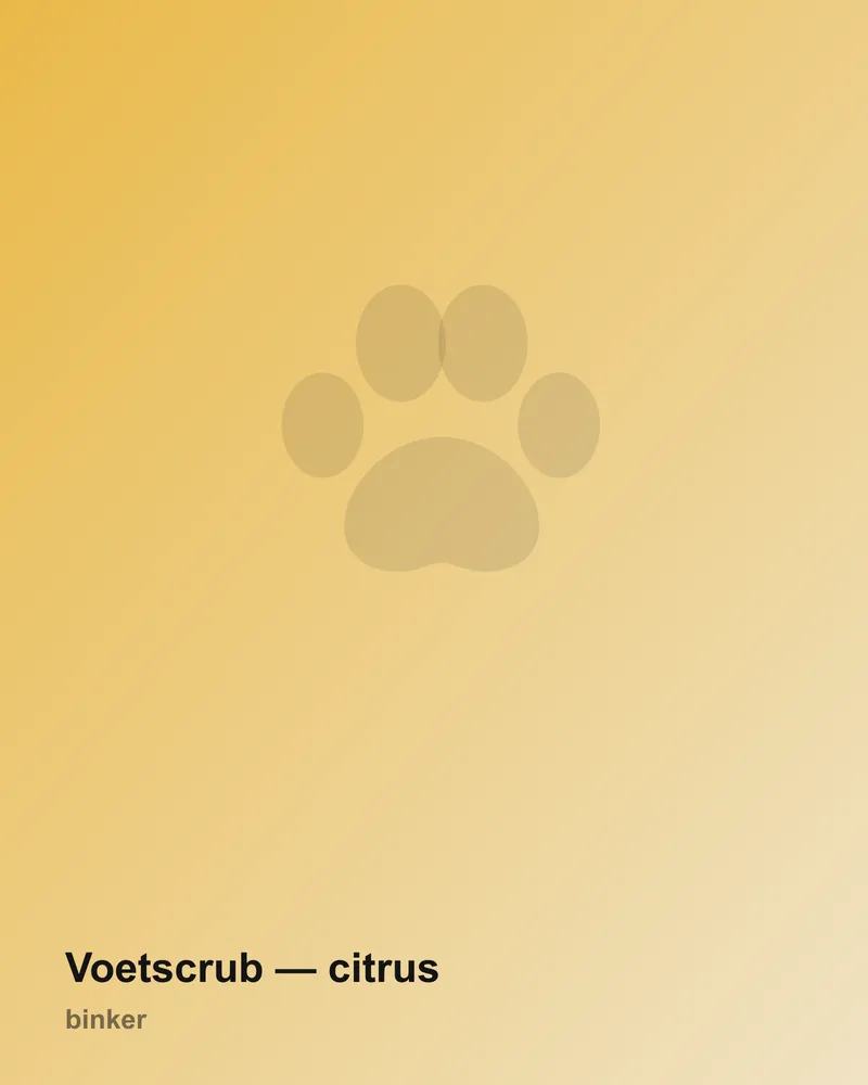 Voetscrub — citrus